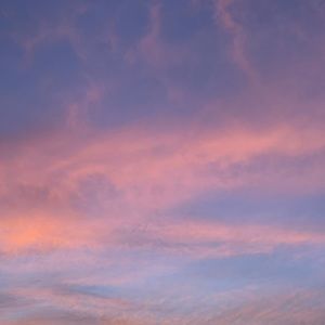 Meet your Posher, Hanna